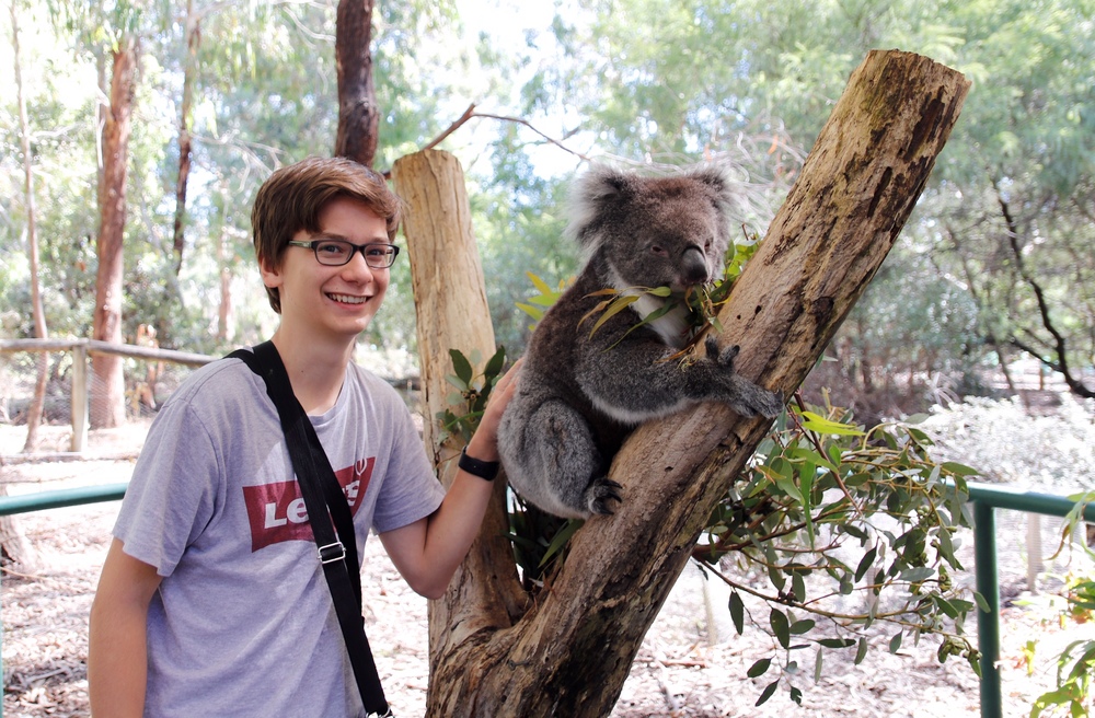 Austauschschüler in Australien mit Koala